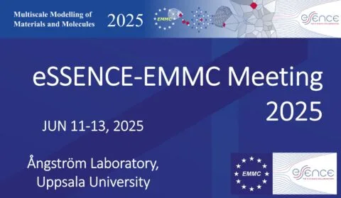 essence emmc2025 card